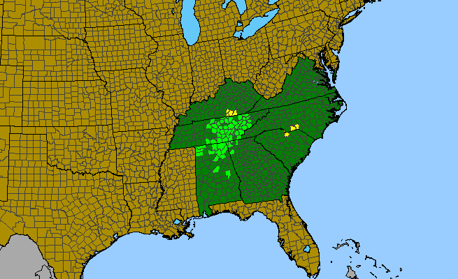 The range of Euphorbia mercurialina